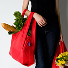 Baggu: Reusable Bag with Style