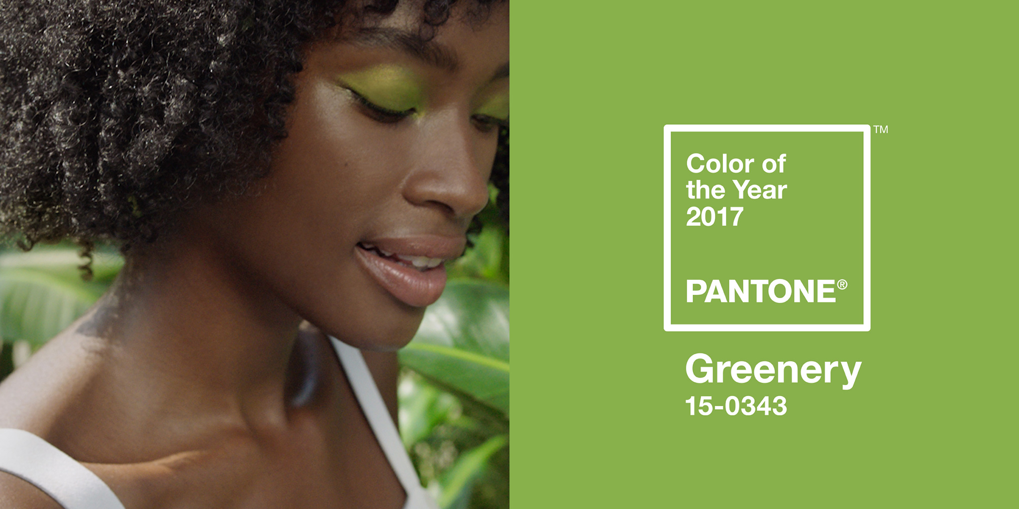 Image result for pantone color of the year 2017 greenery