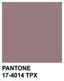 PANTONE 17-4014 Titanium