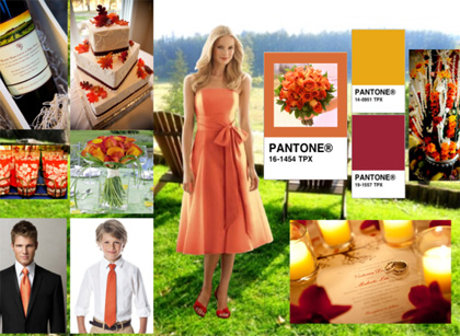 As seen on iPad: Country Wedding created by Gio at The Dessy Group's Wedding Inspiration Styleboard Gallery. Image courtesy of dessy.com