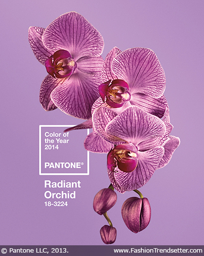 Pantone Color of the Year for 2014: PANTONE 18-3224 Radiant Orchid