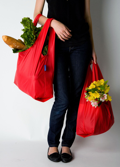 Baggu: Reusable Bag with Style