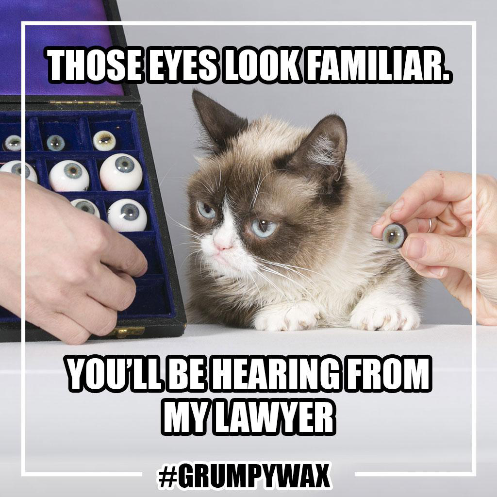 Reframe: Here's Something to Smile About, Grumpy Cat