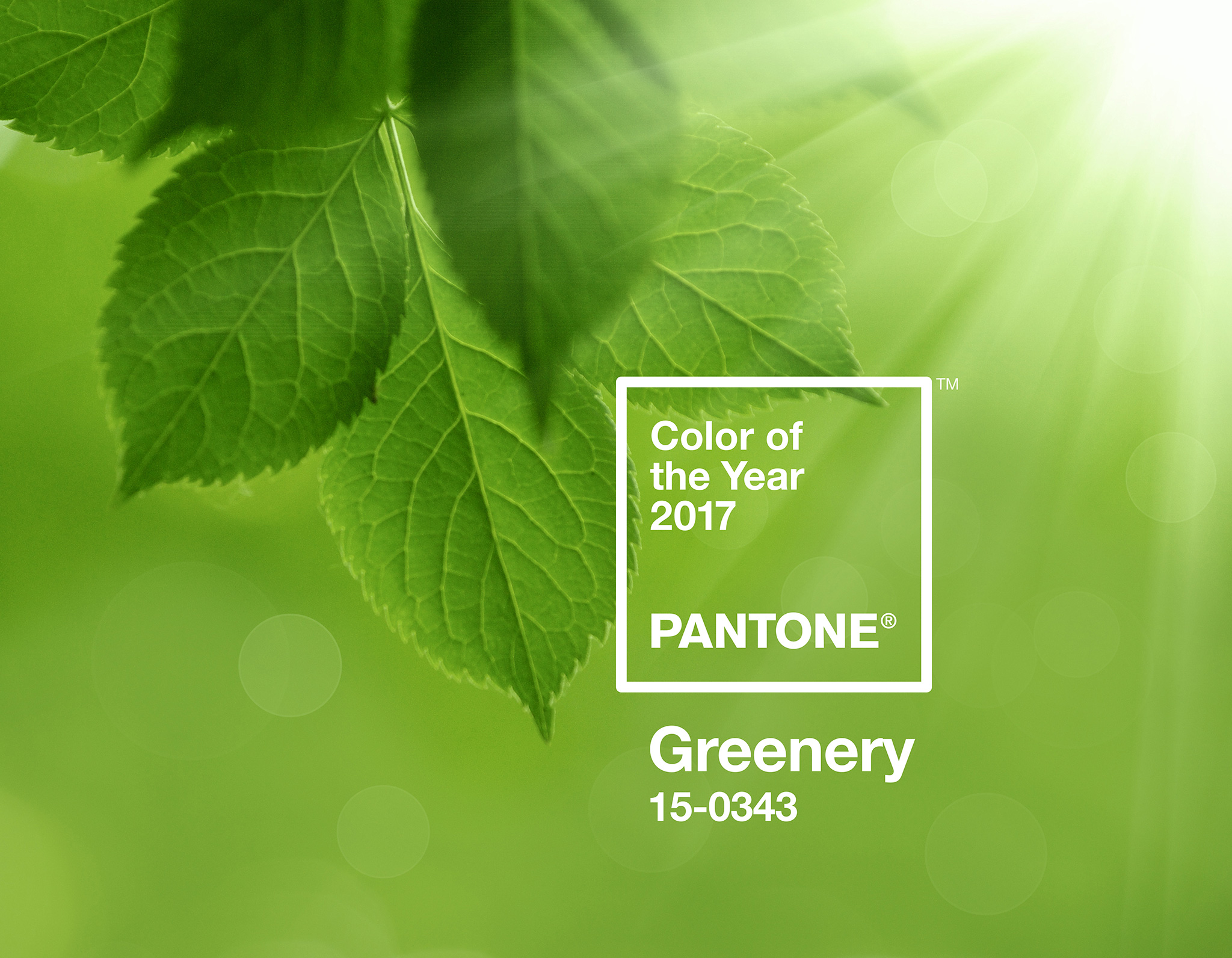 Pantone Color of the Year 2017: PANTONE 15-0343 Greenery