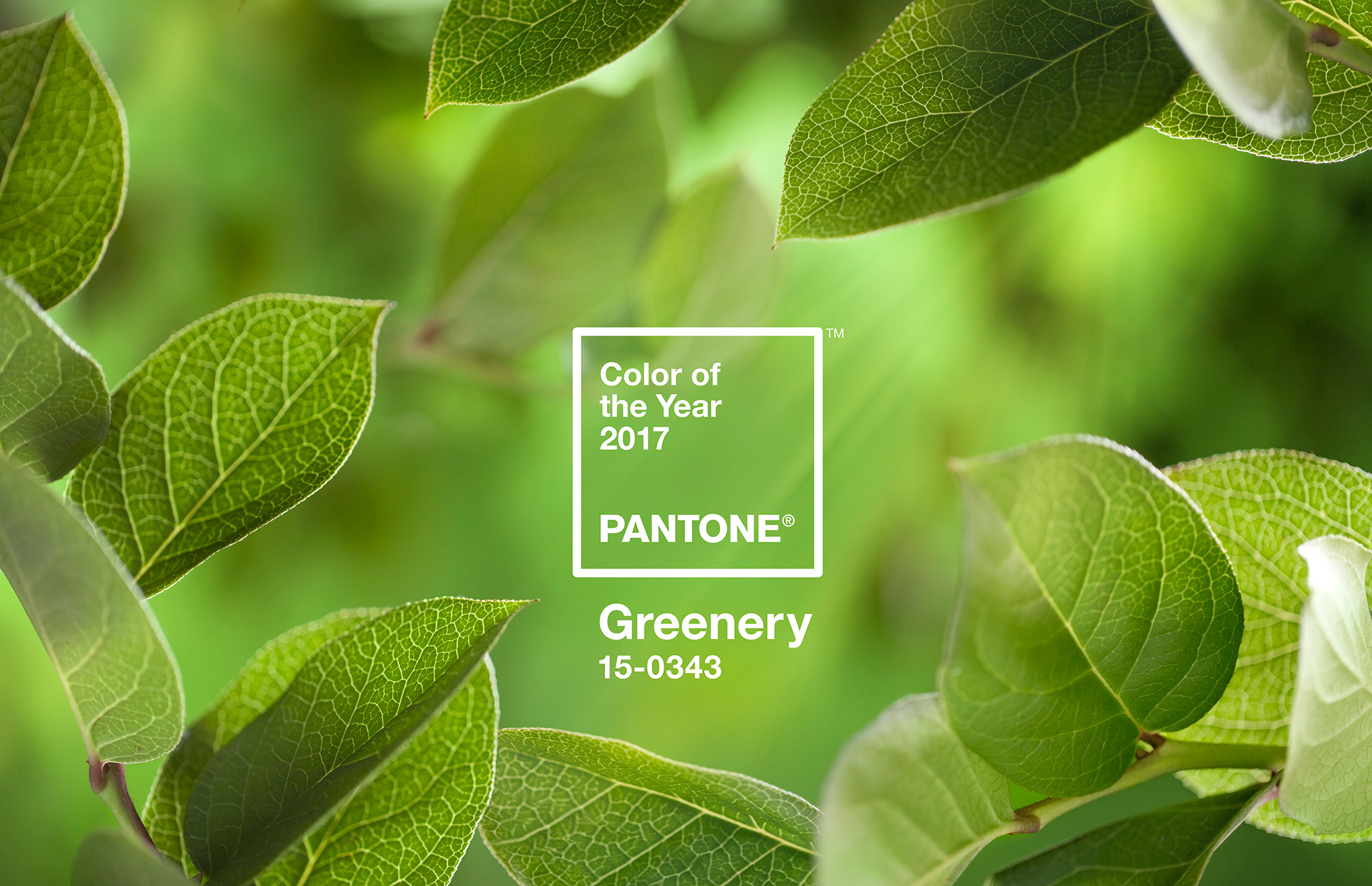 Pantone Color of the Year 2017: PANTONE 15-0343 Greenery