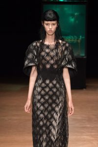 Iris Van Herpen’s Couture Collection: Aeriform ‹ Fashion Trendsetter