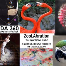 Moda 360 Walks on the Wild Side with Fashion for a Cause