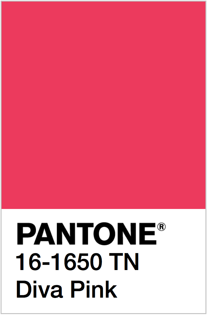 PANTONE NEON PINK COLOR SWATCH