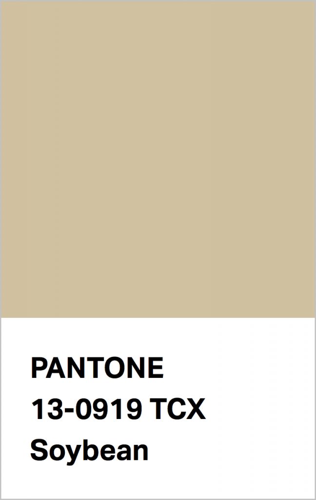 Pantone® Fashion Color Trend Report Autumn/Winter 2021/2022 Colors. PANTONE 13-0919 Soybean.