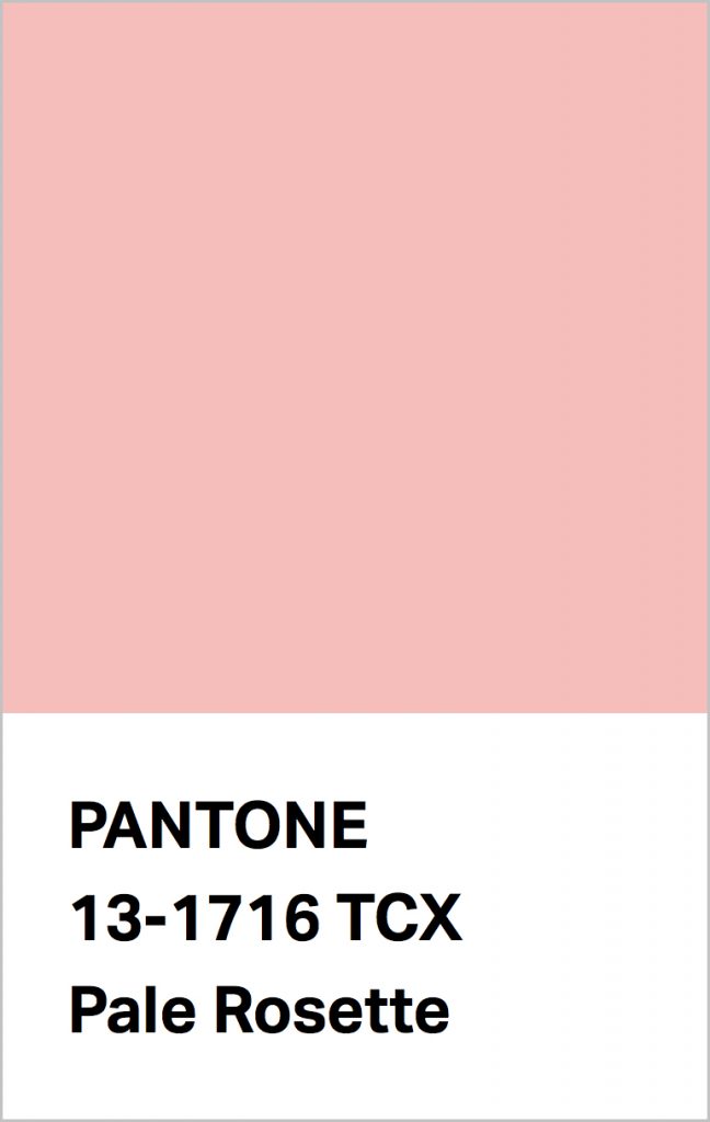 Pantone® Fashion Color Trend Report Autumn/Winter 2021/2022 Colors. PANTONE 13-1716 Pale Rosette.