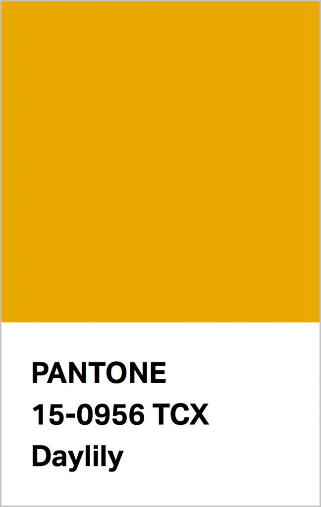 PANTONE 15-0956 Daylily: An uplifting orange infused yellow with perennial appeal.