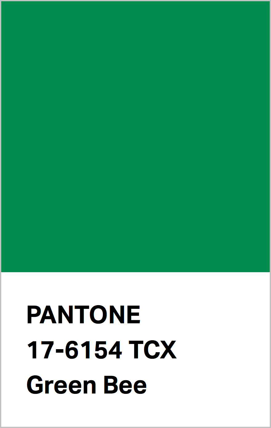 PANTONE® USA  New York Fashion Week Autumn/Winter 2021/2022