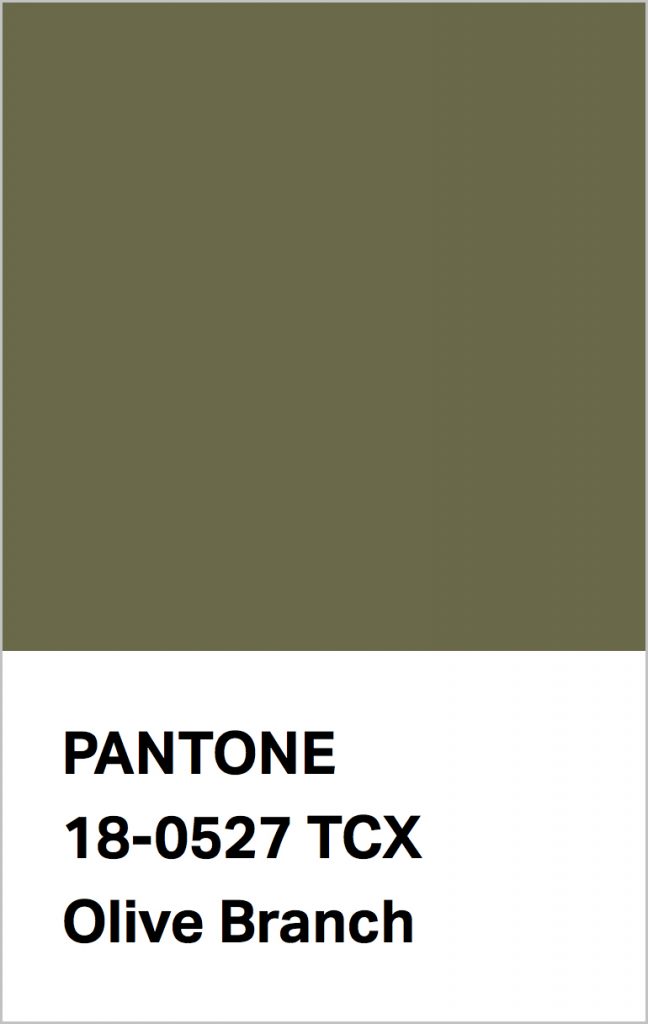 Pantone® Fashion Color Trend Report Autumn/Winter 2021/2022 Colors. PANTONE 18-0527 Olive Branch.