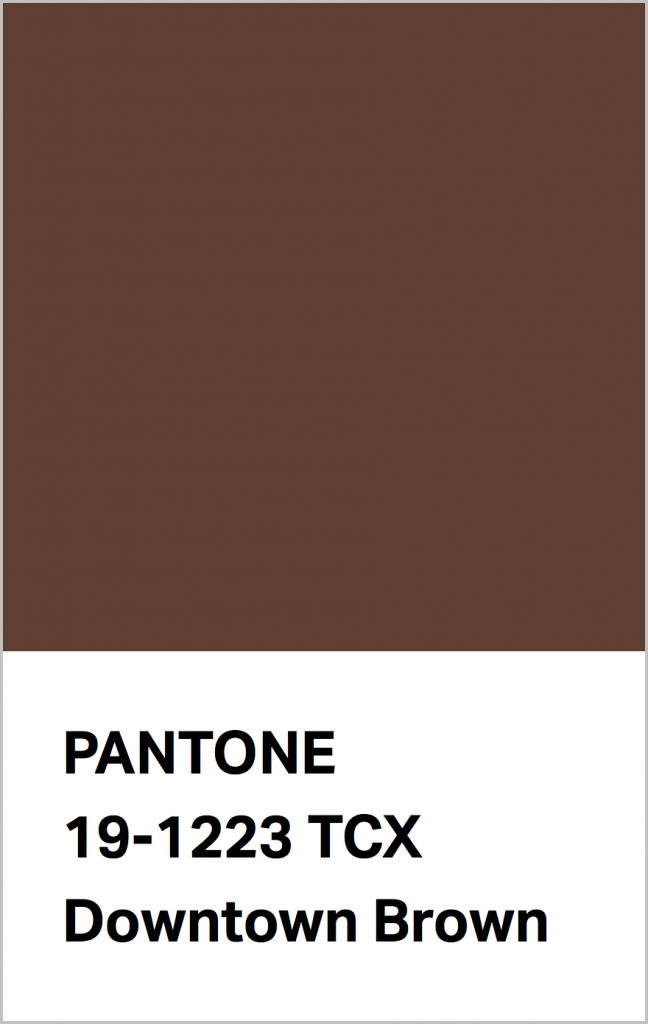 PANTONE 19-1223 Downtown Brown: A metropolitan brown with a bit of swagger.