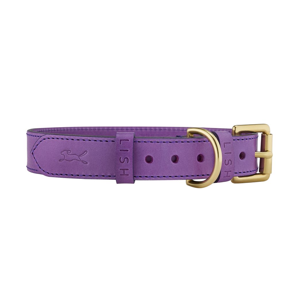 Coopers Violet Purple Eco Leather Dog Collar by LISH London