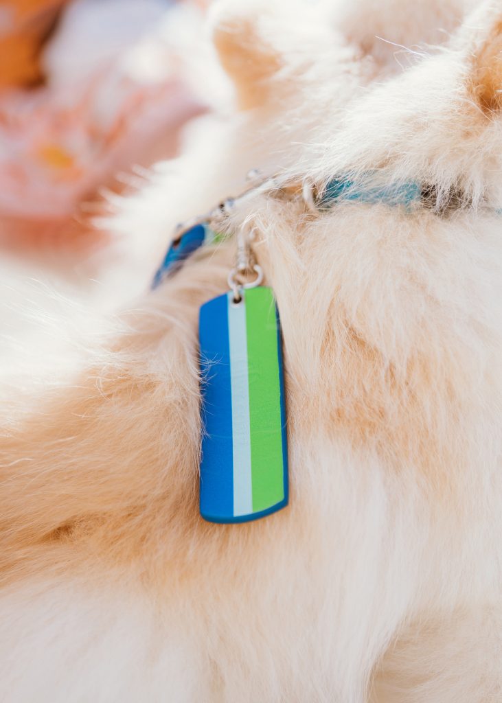 Luxury Dog Accessories by Ivy Cove.