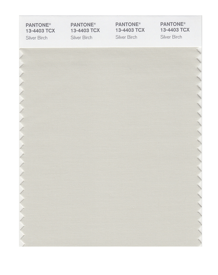PANTONE 13-4403 TCX Silver Birch: An eternal natural gray, Silver Birch stands the test of time.