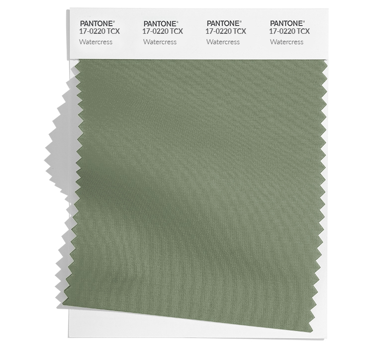 PANTONE 17-0220 Watercress TCX: Watercress, a refreshing peppery green with a sprightly presence.