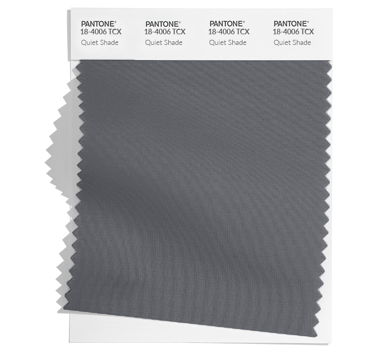 PANTONE 18-4006 TCX Quiet Shade: Quiet Shade, a shadowy gray that offers a protective shelter. 