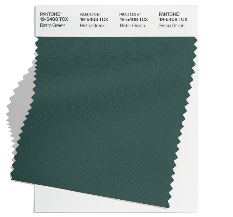 PANTONE 19-5408 TCX Bistro Green: Bistro Green, a hearty deep green tone with a substantial presence.