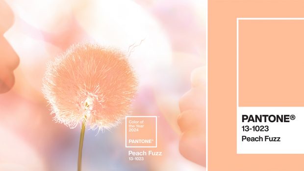 Pantone Color Of The Year 2024: Peach Fuzz 3-1023