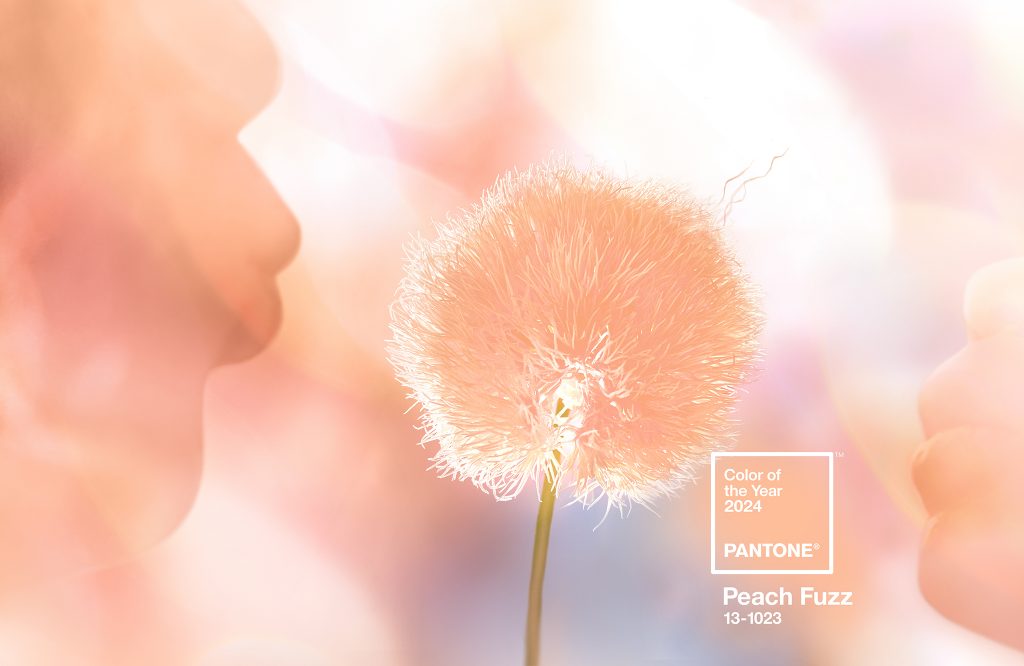 PANTONE® Color Of The Year 2024 13-1023 Peach Fuzz. Image courtesy of Pantone.