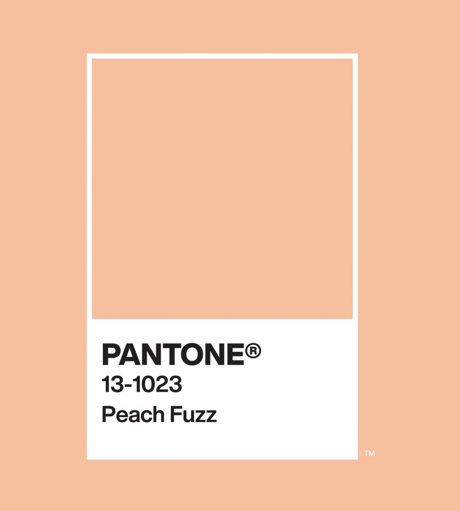 PANTONE® Color Of The Year 2024 13-1023 Peach Fuzz Solid Chip. Image courtesy of Pantone.