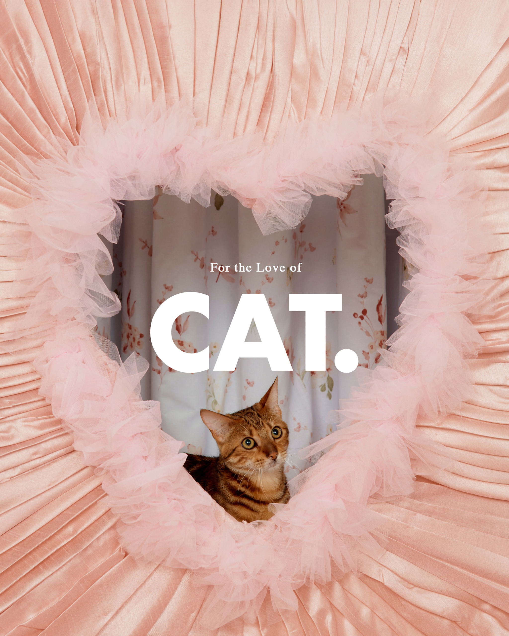 House of Sunny's Latest Drop: For the Love of Cat