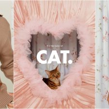 House of Sunny’s Latest Drop: For the Love of Cat