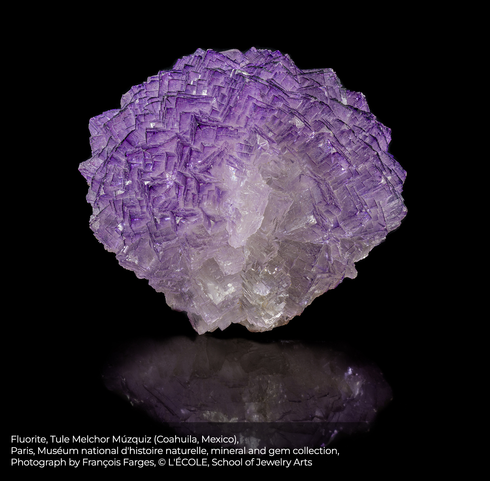 Fluorite, Tule Melchor Múzquiz (Coahuila, Mexico), Paris, Muséum national d'histoire naturelle, mineral and gem collection, Photo by François Farges © L'ÉCOLE, School of Jewelry Arts