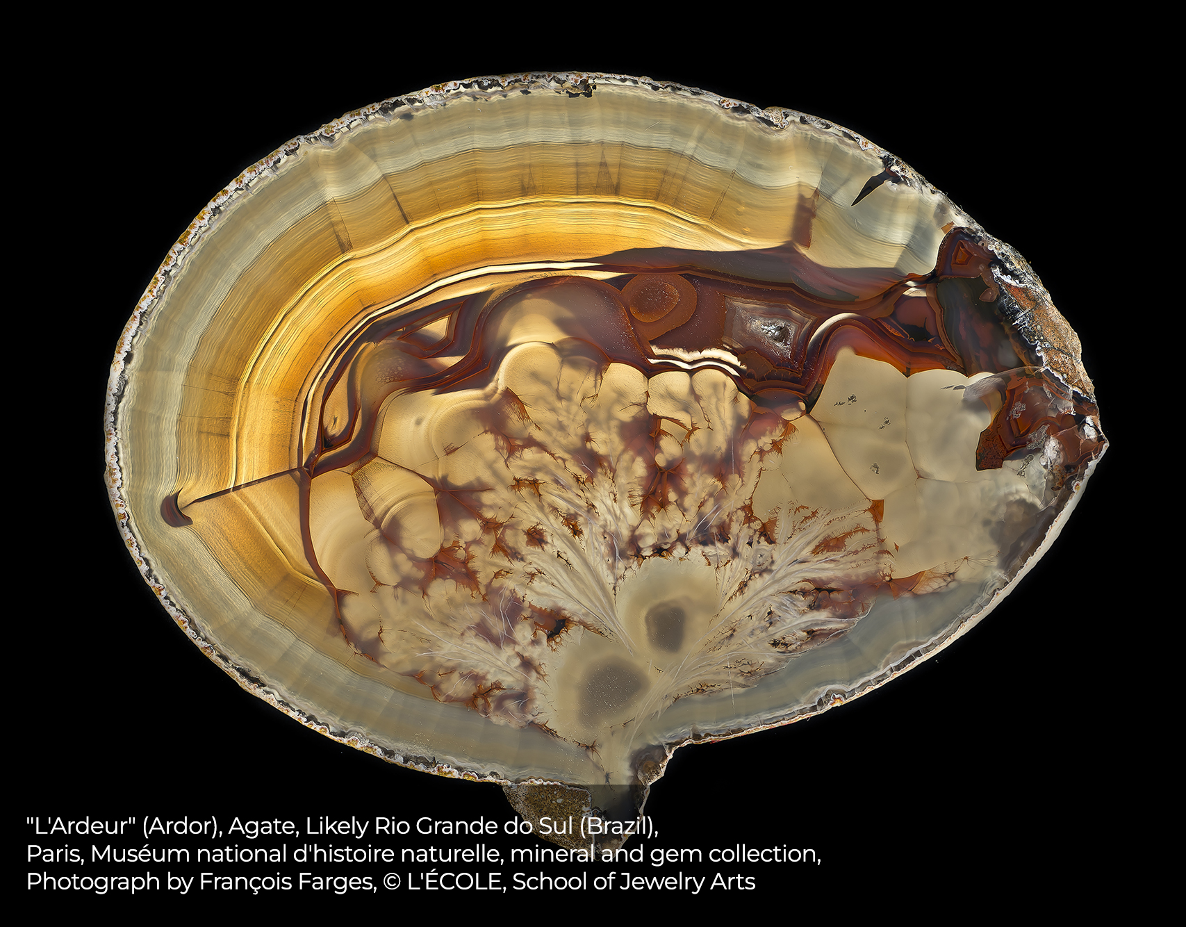 "L'Ardeur" (Ardor), Agate, Likely Rio Grande do Sul (Brazil), Paris, Muséum national d'histoire naturelle, mineral and gem collection, Photo by François Farges © L'ÉCOLE, School of Jewelry Arts