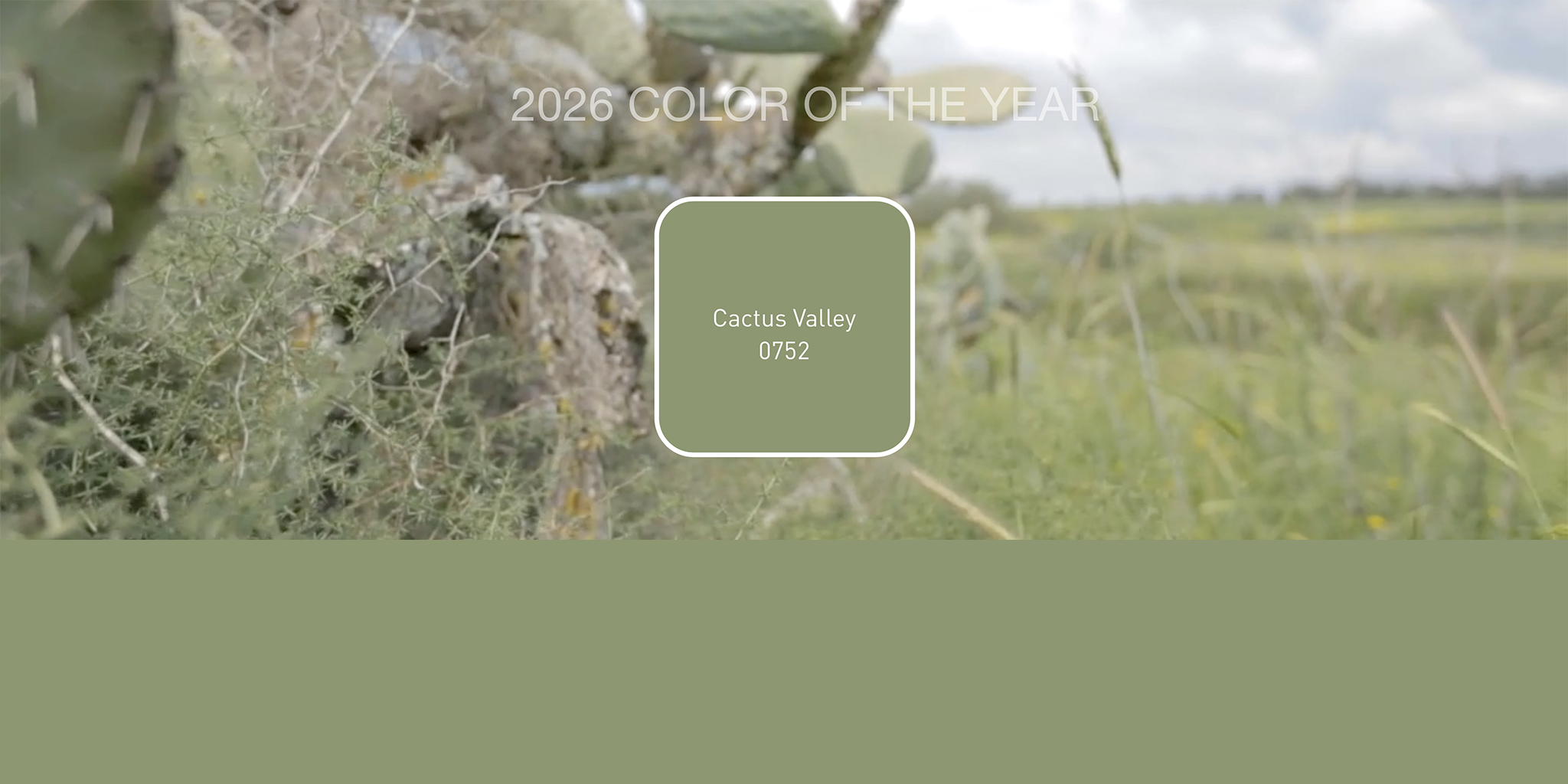 California Paints 2026 Color of the Year: Cactus Valley (0752). Image courtesy of California Paints.