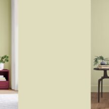 Sherwin-Williams x HGTV Home by Sherwin-Williams 2027 Color of the Year: Celery